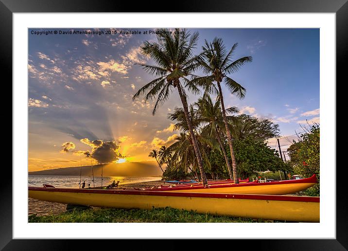  Maui Sunset Framed Mounted Print by David Attenborough