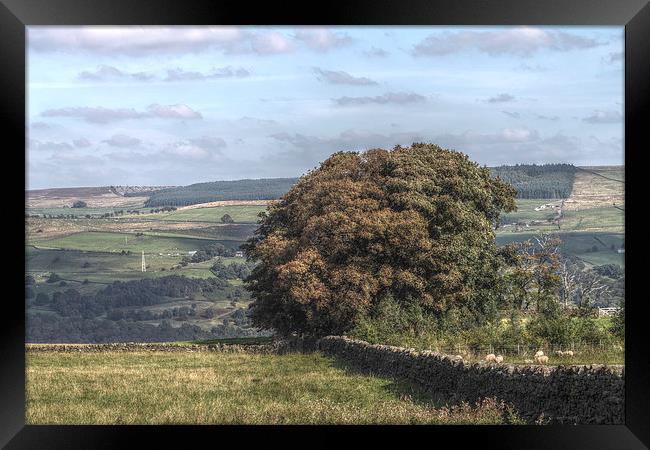 Yorkshire Countryside Scenery, England Framed Print by Juha Remes