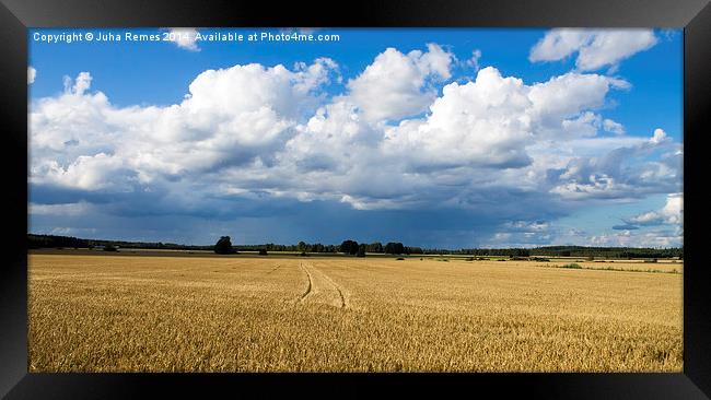 Finnish Countryside Framed Print by Juha Remes