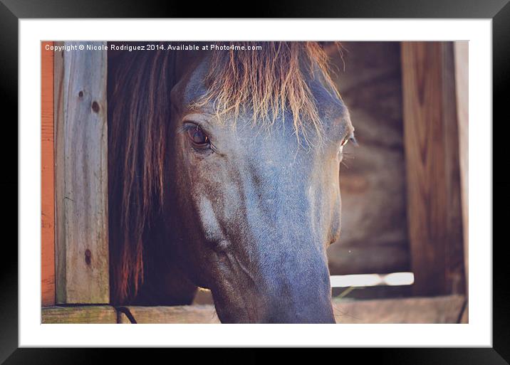 Takes My Breath Away Framed Mounted Print by Nicole Rodriguez