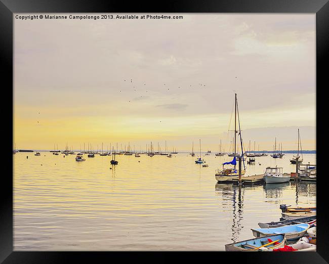 Early morning on the sea Rockland Maine Framed Print by Marianne Campolongo