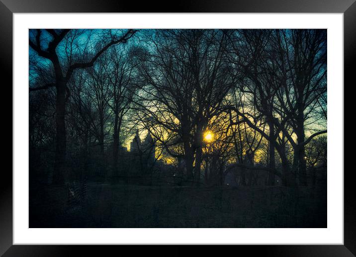 Central Park Blue Hour Framed Mounted Print by Marianne Campolongo