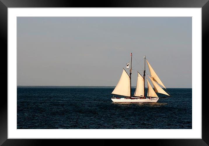 Sailing Nantucket Sound Framed Mounted Print by Barbara Bardzik