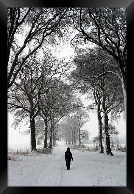 Stepping into Winter Framed Print by john joyce