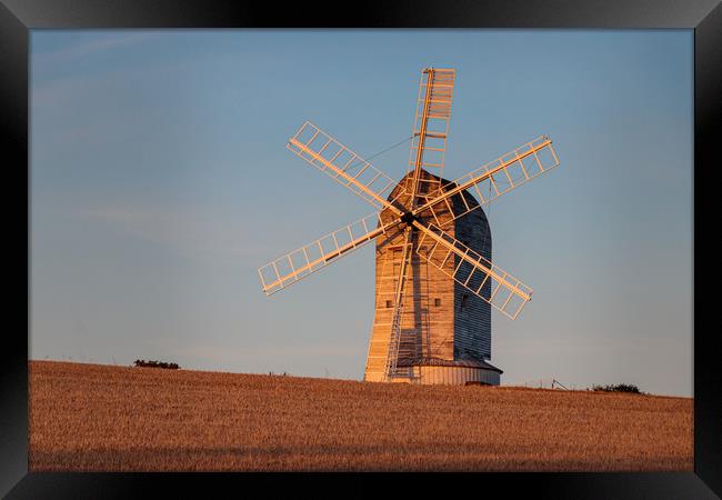 Windmill in Evening Light Framed Print by Wendy Williams CPAGB