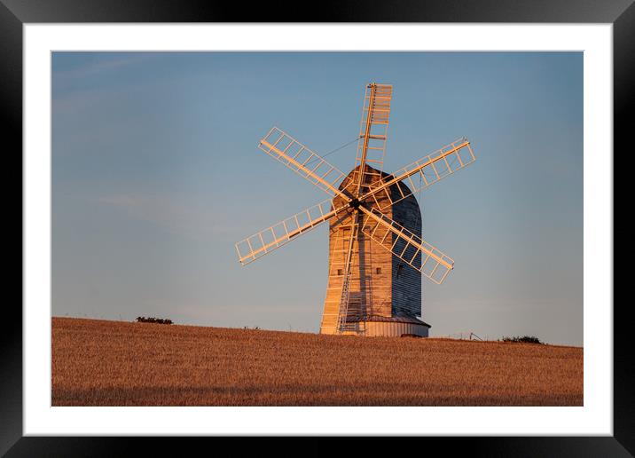 Windmill in Evening Light Framed Mounted Print by Wendy Williams CPAGB