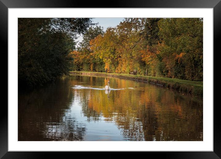 Autumn Colours on the Shropshire Union canal Framed Mounted Print by Wendy Williams CPAGB