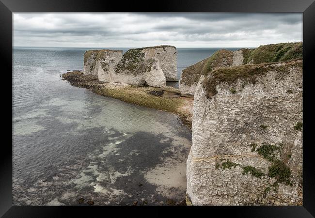 Old Harry Rocks Framed Print by Wendy Williams CPAGB