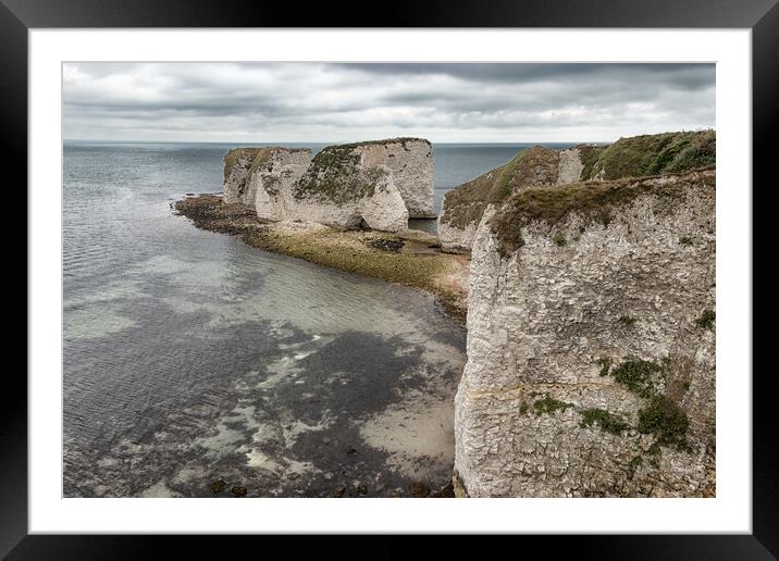 Old Harry Rocks Framed Mounted Print by Wendy Williams CPAGB