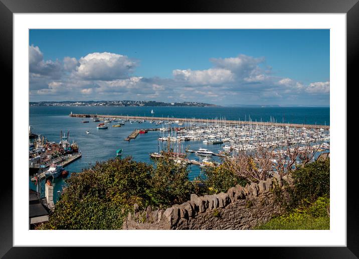 Brixham harbour from North View Road Framed Mounted Print by Wendy Williams CPAGB