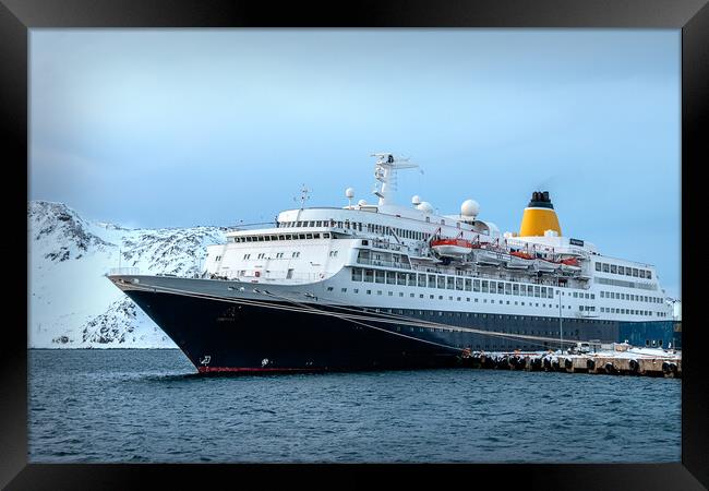 Majestic Cruiser in Arctic Splendor Framed Print by Wendy Williams CPAGB