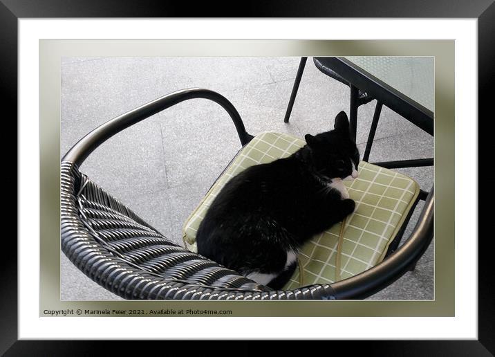 Black cat on a terrace Framed Mounted Print by Marinela Feier