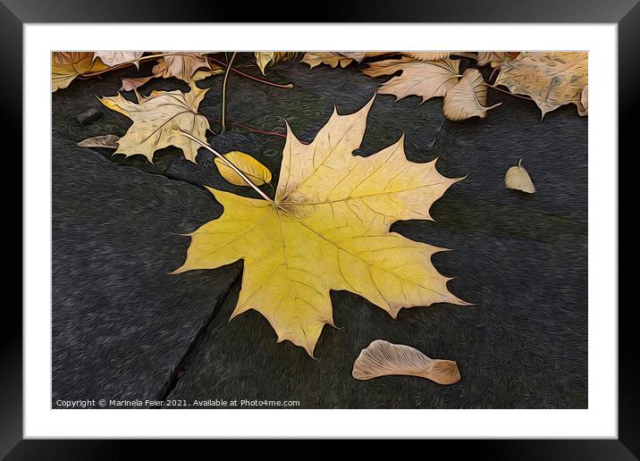 Leaves on sidewalk Framed Mounted Print by Marinela Feier