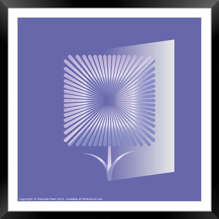 Violet square flower Framed Mounted Print by Marinela Feier