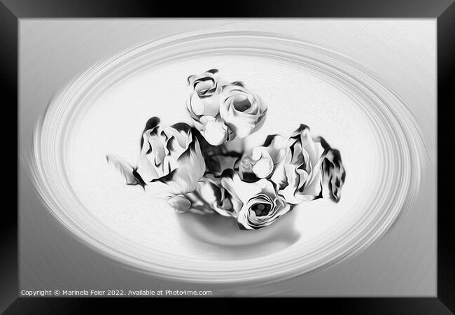 Silver bouquet Framed Print by Marinela Feier