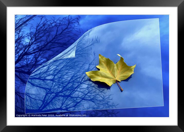 Autumn to winter Framed Mounted Print by Marinela Feier