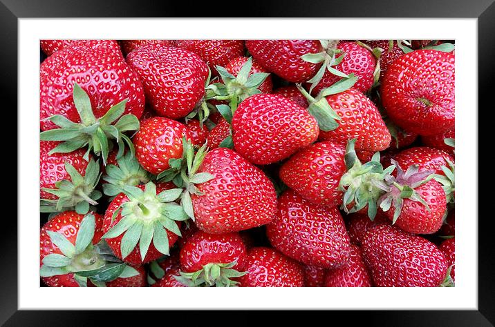  fresh strawberries 2 Framed Mounted Print by Marinela Feier
