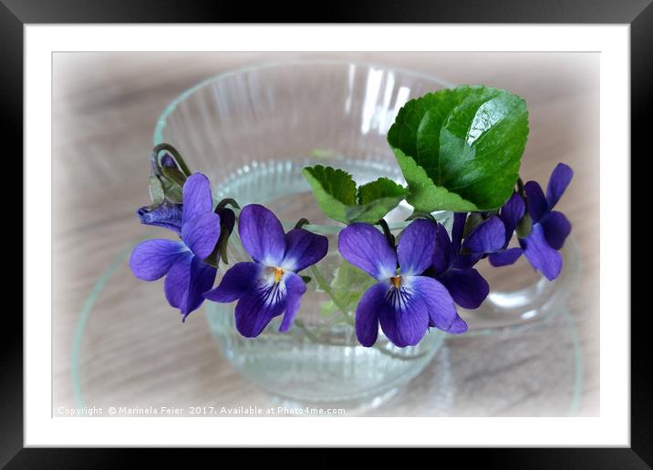 cup of violets Framed Mounted Print by Marinela Feier