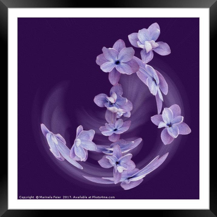 Lilac in circle Framed Mounted Print by Marinela Feier