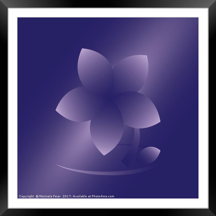 Violet flower Framed Mounted Print by Marinela Feier