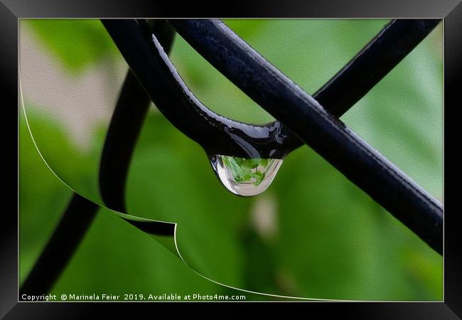 Drop of rain Framed Print by Marinela Feier