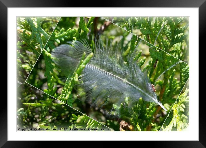 A stray feather Framed Mounted Print by Marinela Feier