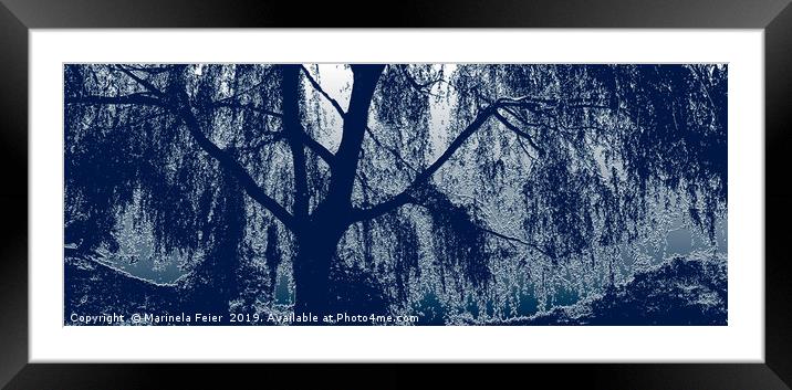 Willow in blue Framed Mounted Print by Marinela Feier