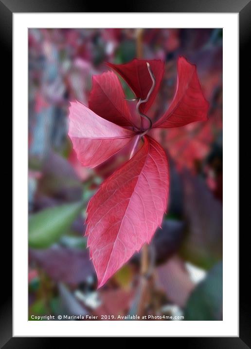 Red of autumn Framed Mounted Print by Marinela Feier