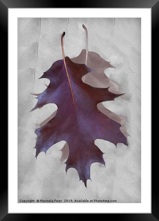 Dance of Autumn Framed Mounted Print by Marinela Feier