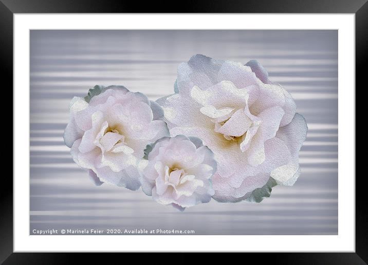 Pink gray roses Framed Mounted Print by Marinela Feier