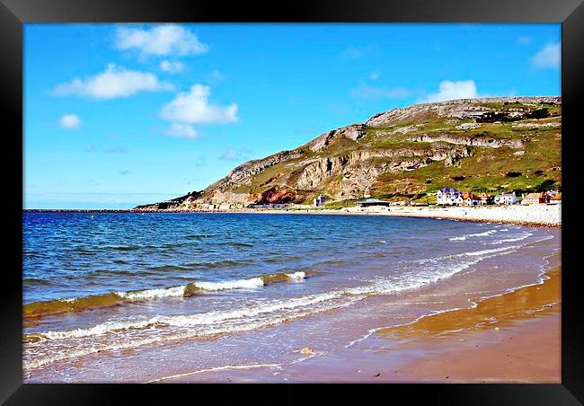 West Shore beach, Llandudno Framed Print by leonard alexander