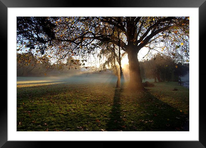 Early morning fog and sunrise Framed Mounted Print by leonard alexander