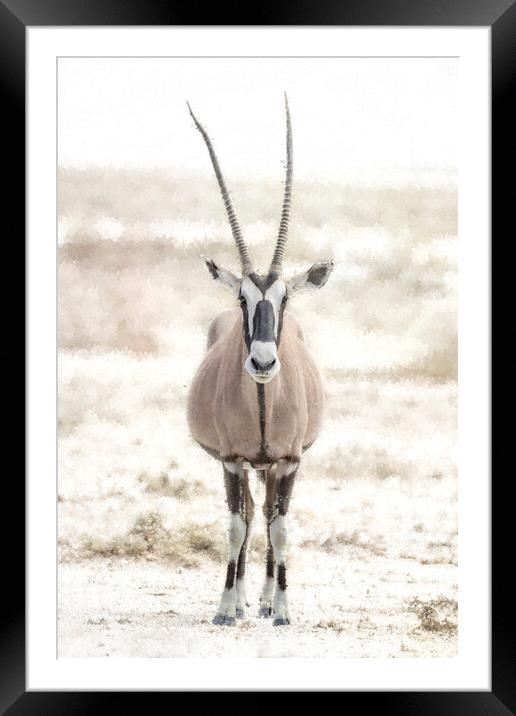 Oryx Posing at Etosha Framed Mounted Print by Belinda Greb