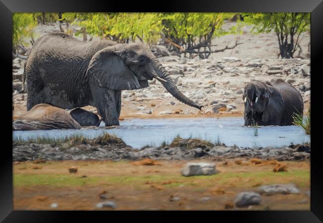 Elephants Tussling at Rietfontein Waterhole Framed Print by Belinda Greb