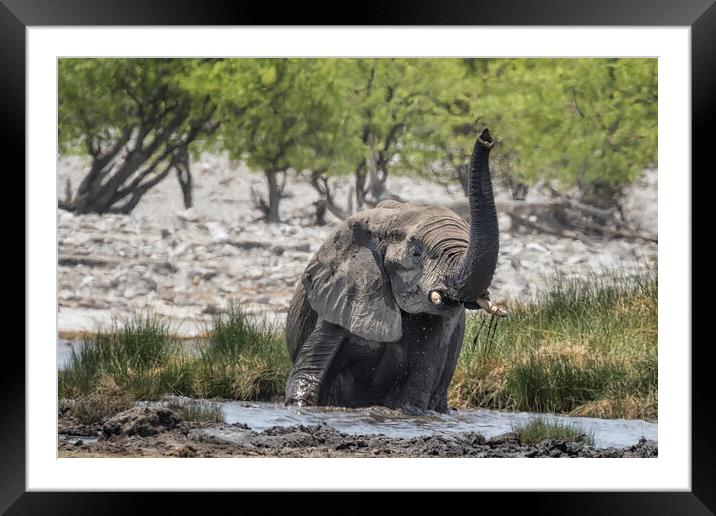 Hard to Get Up and Out Framed Mounted Print by Belinda Greb