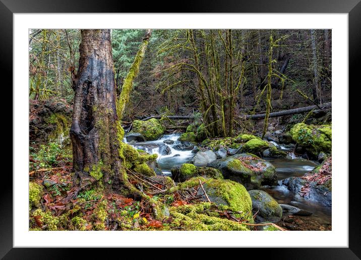 Alongside the French Pete Creek Framed Mounted Print by Belinda Greb