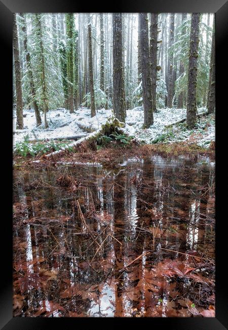 Winter Woods Reflection in a Pool of Leaves, Vertical Framed Print by Belinda Greb