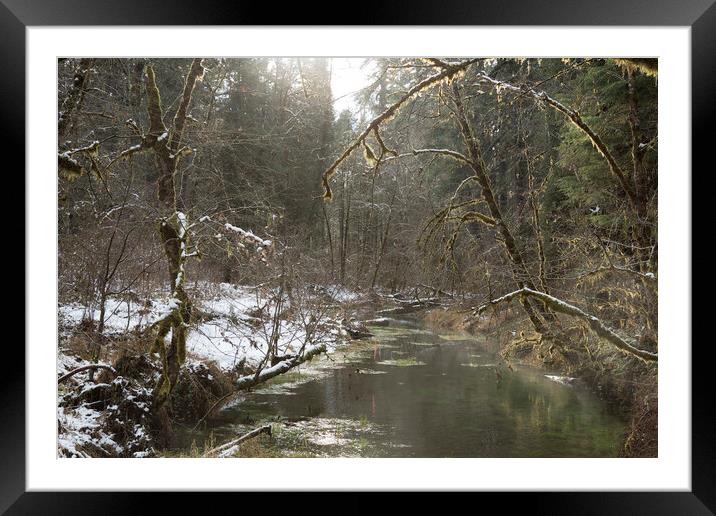 The Mark of the Forest Service on a McKenzie River Tributary Framed Mounted Print by Belinda Greb