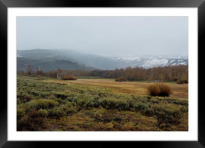 Steens Mountain Landscape - No 2A Framed Mounted Print by Belinda Greb