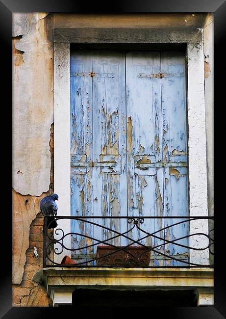 Venice Door Framed Print by Belinda Greb