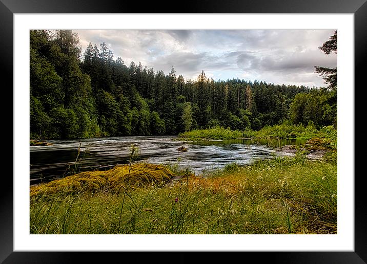 Late Afternoon Framed Mounted Print by Belinda Greb