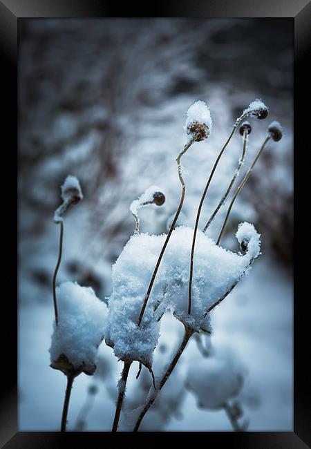 Snow Forms  Framed Print by Belinda Greb