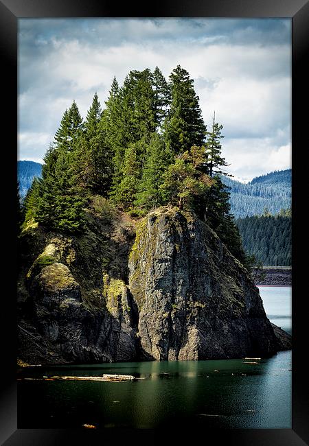  Growing from Rock Framed Print by Belinda Greb