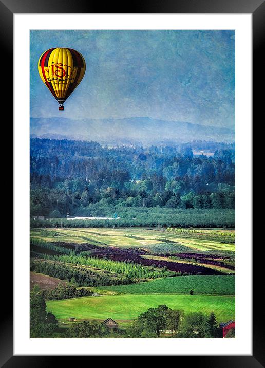 Above It All  Framed Mounted Print by Belinda Greb