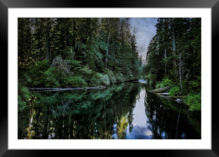  Spawning a River Framed Mounted Print by Belinda Greb