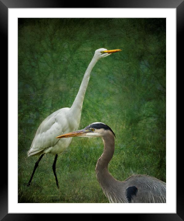 The Greats Framed Mounted Print by Belinda Greb
