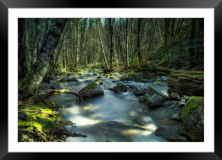 A Companionable Solitude Framed Mounted Print by Belinda Greb