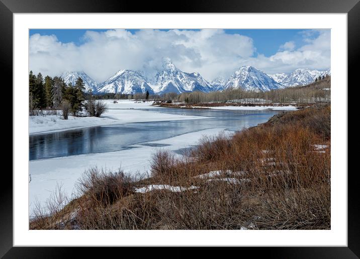 Grand Tetons from Oxbow Bend Framed Mounted Print by Belinda Greb