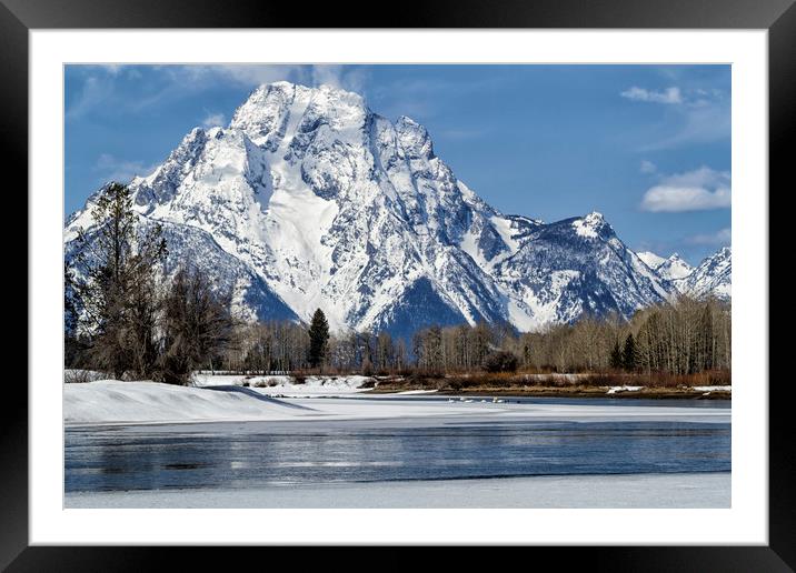 Mt Moran from Oxbow Bend Framed Mounted Print by Belinda Greb