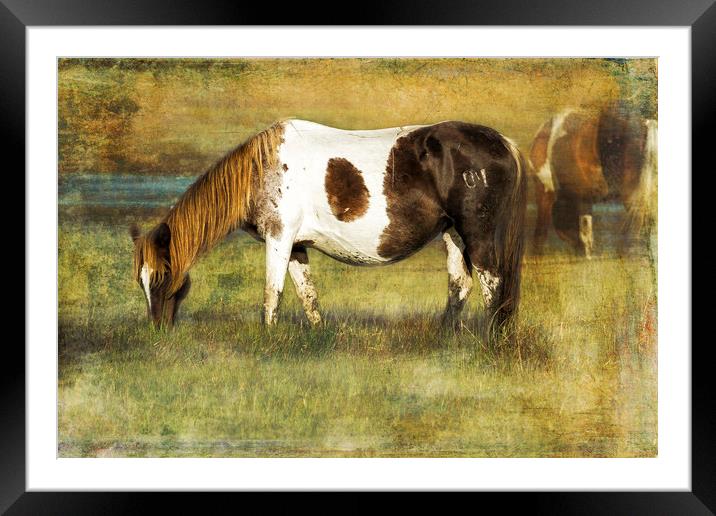 Pony with Copper Mane - Chincoteague Pony Framed Mounted Print by Belinda Greb